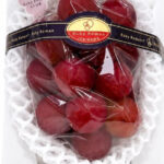 Ruby Roman Grape | Ishikawa Prefecture | G Class | 600g Gift Box