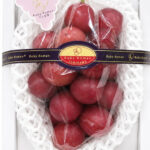 Ruby Roman Grape | Ishikawa Prefecture | Shu Grade | 500g Gift Box