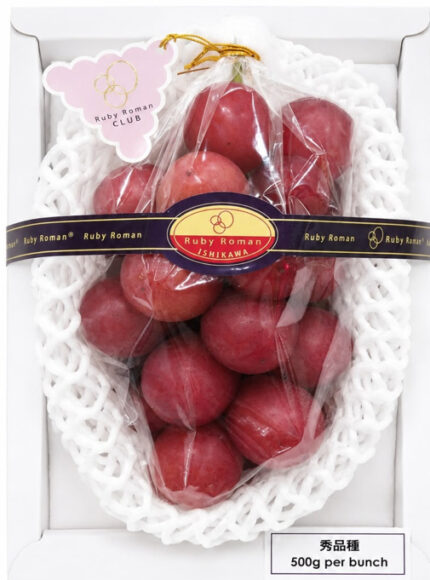 Ruby Roman Grape | Ishikawa Prefecture | Shu Grade | 500g Gift Box