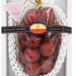 Ruby Roman Grape | Ishikawa Prefecture | Shu Grade | 700g Gift Box