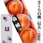 Sakura Hakutoh | Grade "Shingen" | Yamanashi Prefecture | 5L Size 3 Pcs