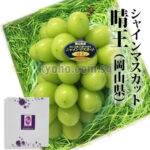 Shine Muscat Grapes (Hareo-Variety) | Akashu Premium Grade | Okayama Prefecture | 3L Size 620g