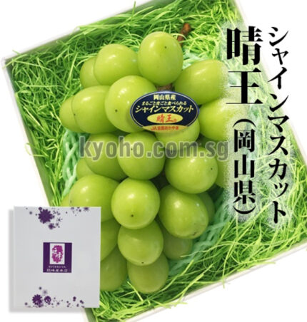 Shine Muscat Grapes (Hareo-Variety) | Akashu Premium Grade | Okayama Prefecture | 3L Size 620g