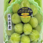 Shine Muscat Grapes (Hareo-Variety) | Aoshu Grade | Okayama Prefecture | 620g