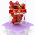 Sun Shine Red Grapes | Yamanashi Prefecture | Shu Grade | Pack 620g
