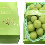 Takumi Shine Muscat Grapes | Premium Quality | Shu Grade | Yamanashi Prefecture | 1 bunch 700g