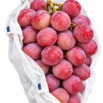 Queen Nina Grapes | (Seedless) Aoshu Grade | Okayama Prefecture | 620g
