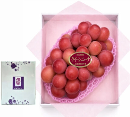 Queen Nina Grapes (Seedless) | Yamanashi Prefecture | 400g
