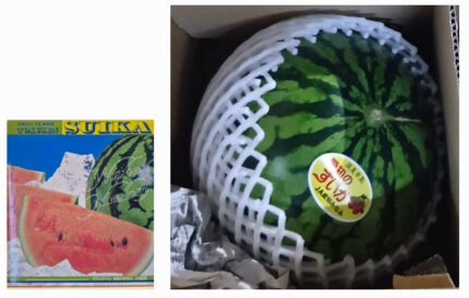 Suika (Watermelon) | Aichi Prefecture | 1 Pc 2.5kg