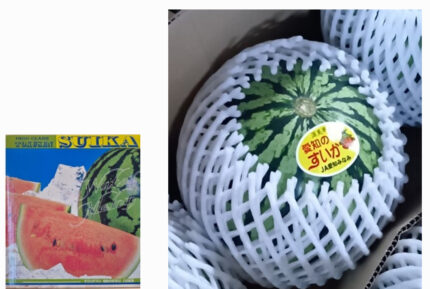 Suika (Watermelon) | Aichi Prefecture | 1 Pc 2kg