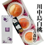 Kawanakajima Peach | Tokushu Premium Grade | Aomori Prefecture | 4L Size 3 Pcs