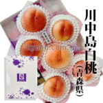 Kawanakajima Peach | Tokushu Premium Grade | Aomori Prefecture | 2L Size 6 Pcs