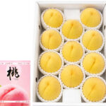 Arakawa Golden Peach | Wakayama Prefecture | 6L Size 11 Pcs