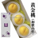 Arakawa Golden Peach | Wakayama Prefecture | 5L Size 3 Pcs