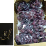 Black Shine Muscat "Fuji No Kagayaki" | Okayama Prefecture | 2L Size 620g