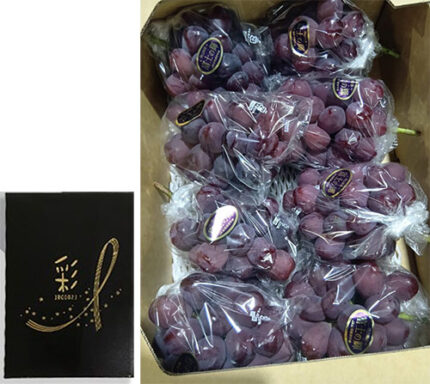 Black Shine Muscat "Fuji No Kagayaki" | Okayama Prefecture | 2L Size 620g