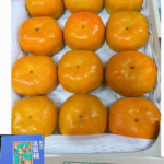 House Grown Persimmon Soushu Kaki | (Seedless) Akashu Premium Grade | Nara Prefecture | A Grade 12 Pcs