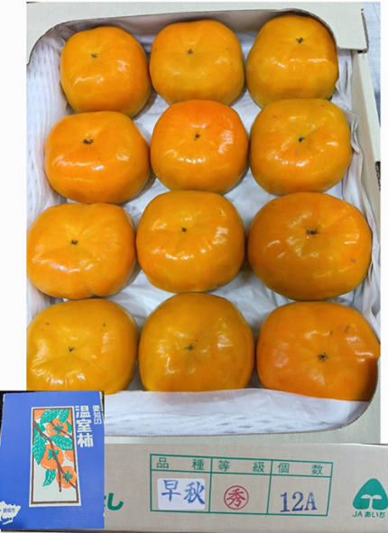 House Grown Persimmon Soushu Kaki | (Seedless) Akashu Premium Grade | Nara Prefecture | A Grade 12 Pcs