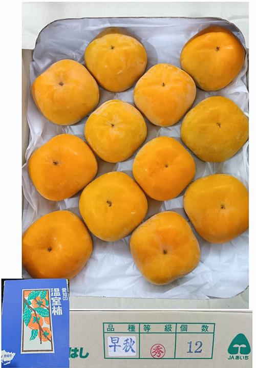House Grown Persimmon Soushu Kaki | (Seedless) Akashu Premium Grade | Nara Prefecture | 12 Pcs House Grown Persimmon Soushu Kaki | (Seedless) Akashu Premium Grade | Nara Prefecture | 12 Pcs