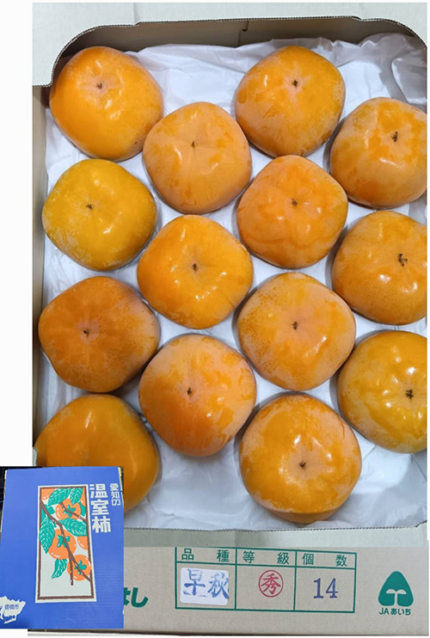 House Grown Persimmon Soushu Kaki | (Seedless) Akashu Premium Grade | Nara Prefecture | 14 Pcs