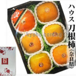 House Grown Tone Persimmon | Aoshu Grade | Nara Prefecture | 6 Pcs
