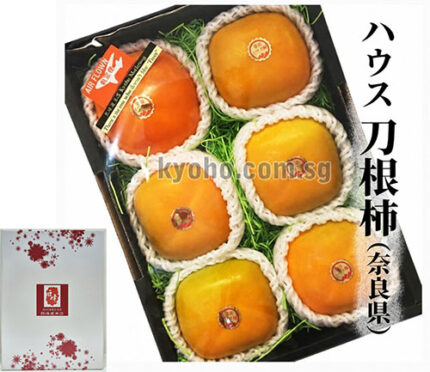 House Grown Tone Persimmon | Aoshu Grade | Nara Prefecture | 6 Pcs