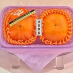 House Grown Tone Persimmon | Nara Prefecture | 2 Pcs