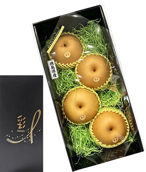 Housui Pear | Tokushima Prefecture | 4L Size 4 Pcs Housui Pear | Tokushima Prefecture | 4L Size 4 Pcs