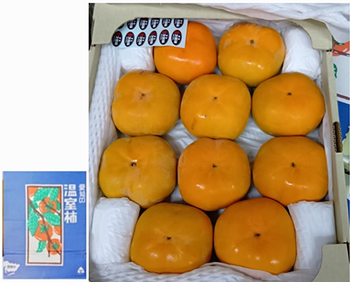 Jiro Kaki Persimmon | Aoshu Grade (Seedless) | Aichi Prefecture | 6L Size 10 Pcs Jiro Kaki Persimmon | Aoshu Grade (Seedless) | Aichi Prefecture | 6L Size 10 Pcs
