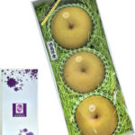 Kousui Pear | Tokushima Prefecture | 4L Size 3 Pcs