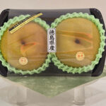 Kousui Pear | Tokushima Prefecture | 3L Size 2 Pcs