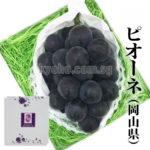 Pione Grapes | Shu Grade | Okayama Prefecture | 710g