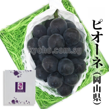 Pione Grapes | Shu Grade | Okayama Prefecture | 710g
