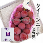 Queen Nina Grapes | (Seedless) Aoshu Grade | Okayama Prefecture | 710g