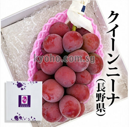 Queen Nina Grapes | (Seedless) Aoshu Grade | Okayama Prefecture | 710g