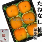 Seedless Persimmon | Wakayama Prefecture | M Size 6 Pcs