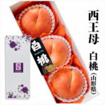 Seioubo Hakutoh | Yamagata Prefecture | 7L Size 3 Pcs