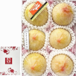Shinano Pearl | (Rare Japanese Plums) | Nagano Prefecture | 2L Size 6 Pcs