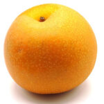 Akitsuki Pear | (Hirooka Farm Direct) | Tottori Prefecture | 1 Pc