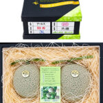 Arus Melon | (Tokushu Premium Grade) | Shimane Prefecture | 3L Size 2 Pcs