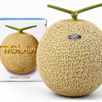 Arus Melon | (Yu Grade) | Shimane Prefecture | 3L Size 1 Pc
