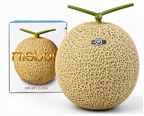 Arus Melon | (Yu Grade) | Shimane Prefecture | 3L Size 1 Pc Arus Melon | (Yu Grade) | Shimane Prefecture | 3L Size 1 Pc