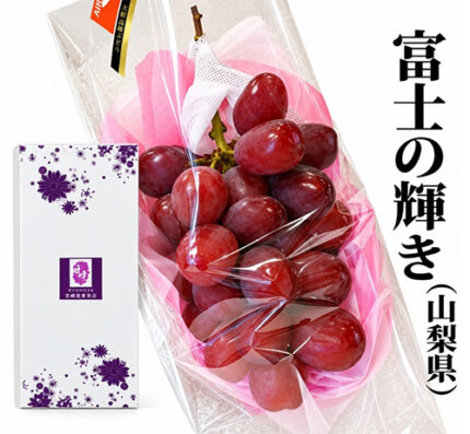 Black Shine Muscat "Fuji No Kagayaki" | Shu Grade | Yamanashi Prefecture | 830g