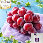 Black Shine Muscat "Fuji No Kagayaki" | Shu Grade | Yamanashi Prefecture | 710g