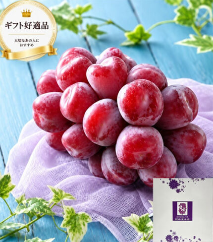 Black Shine Muscat "Fuji No Kagayaki" | Shu Grade | Yamanashi Prefecture | 710g