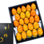Fude Kaki | (Pen Shape Persimmon) | Aichi Prefecture