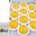Horouman Yellow Plum | Yamagata Prefecture | 10 Pcs