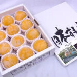 Horouman Yellow Plum | Yamagata Prefecture | 12 Pcs