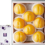 Horouman Yellow Plum | Yamagata Prefecture | 8 Pcs