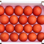 Nousuku Tomato | (For Salad Use) | Tokushima Prefecture | M Size